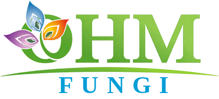 OHM FUNGI